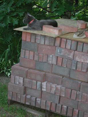 Bink guards the bricks