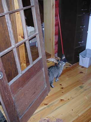 Norma supervising renovations to her home.  The spousal unit says she is not too hard to work for.